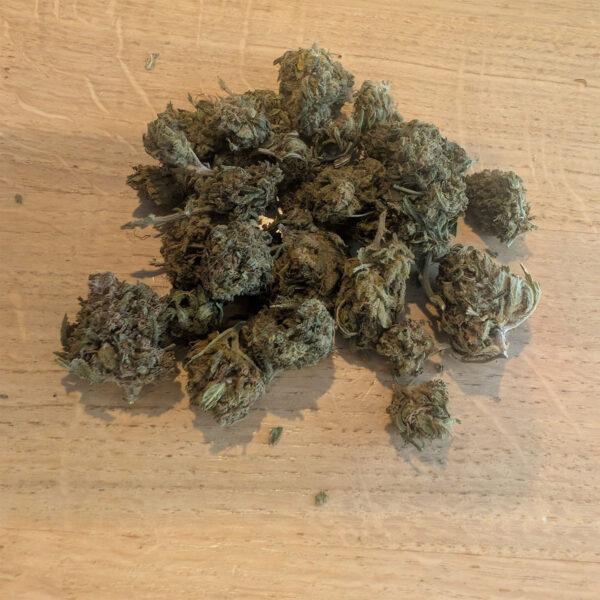 PINK POISON