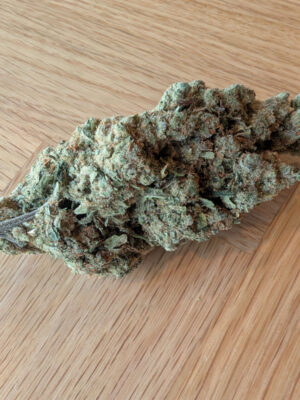 CHERRY GELATO